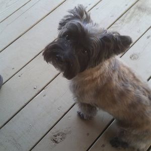 Meet your Posher, Crystal